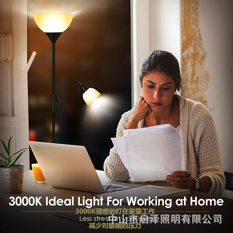Living room, bedroom, study, s - đánh giá và giá Decor Lighting Floor Lamps
